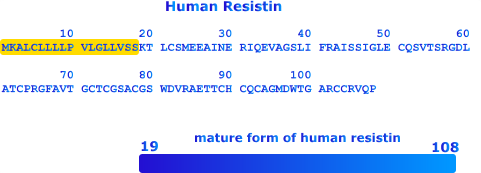 HUMAN RESISTIN